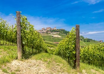 FOTO ESEMPLIFICATIVE - Azienda agricola SP21, Dolegna del Collio - foto 7