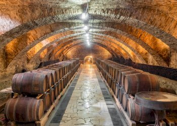 FOTO ESEMPLIFICATIVE - Azienda agricola SP21, Dolegna del Collio - foto 8