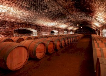 FOTO ESEMPLIFICATIVE - Azienda agricola SP21, Dolegna del Collio - foto 9