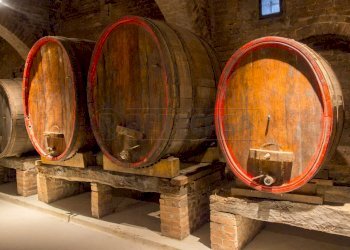 FOTO ESEMPLIFICATIVE - Azienda agricola SP21, Dolegna del Collio - foto 10