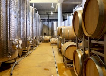 FOTO ESEMPLIFICATIVE - Azienda agricola SP21, Dolegna del Collio - foto 11