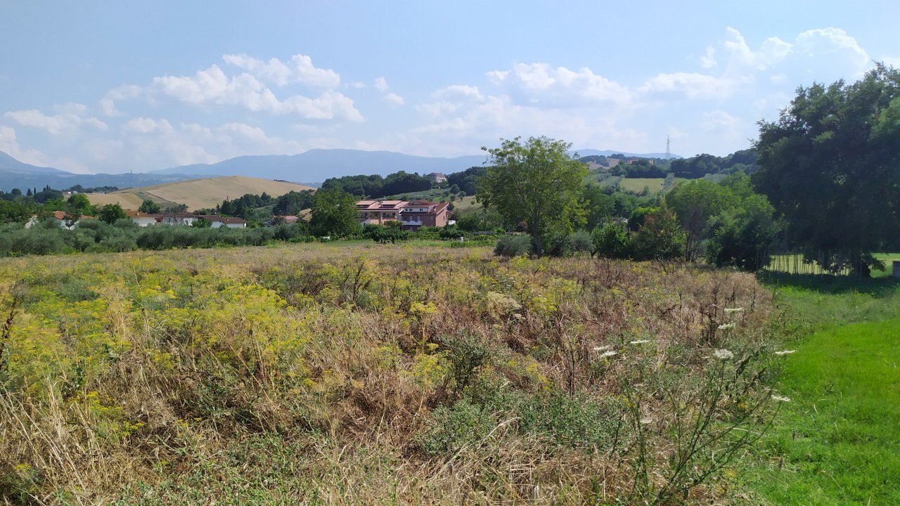 terreno - Terreno edificabile Via Enrico Berlinguer 19, Alanno - foto 3