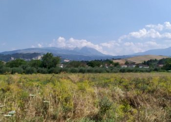 terreno - Terreno edificabile Via Enrico Berlinguer 19, Alanno - foto 4