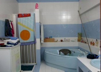 Villa Statte - photo 10