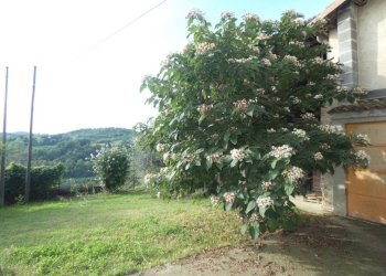 Giardino - Casa indipendente strada di Pascomonti, Mondovì - foto 4