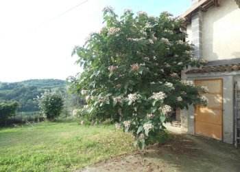 Giardino - Independent house strada di Pascomonti, Mondovì - photo 11