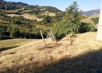 Casa indipendente Via Sp19, Prignano sulla Secchia - foto 11