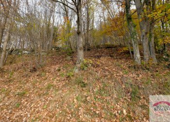 Rif 1235(Copy133).jpg - Casa indipendente Via Dano 21, Urbe - foto 10