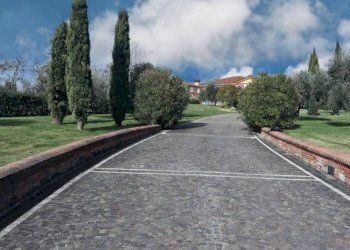 Esterni - Villa via di Benerici, Montecarlo - foto 6