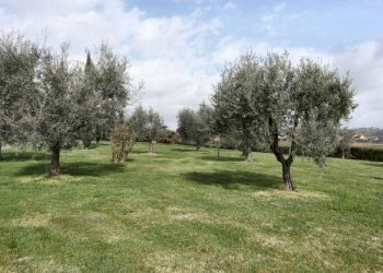 Esterni - Villa via di Benerici, Montecarlo - foto 8