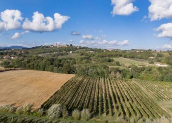 Esterni - Villa via di Benerici, Montecarlo - foto 9