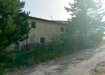20230712_174903.jpg - Casa Colonica Località Poggio Cherici, Rignano sull'Arno - foto 2