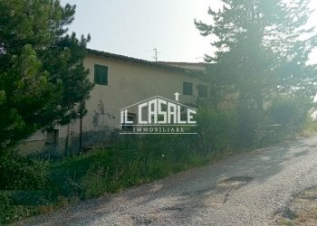 6rignano.jpg - Casa Colonica Località Poggio Cherici, Rignano sull'Arno - foto 6
