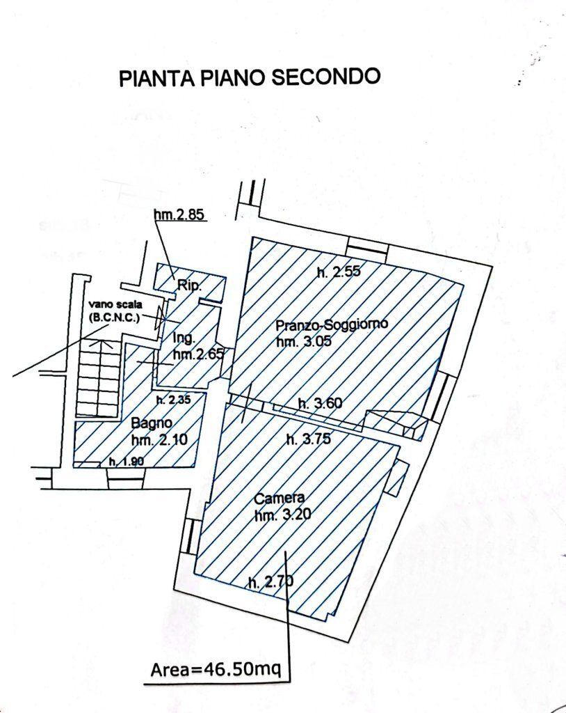 Cattura.png - Two-room apartment Arcola - floor plans 1