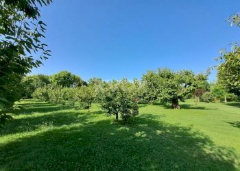 Villa Vignola - foto 13