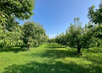 Villa Vignola - foto 14