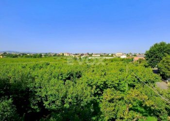 Villa Vignola - foto 18