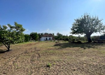 Rustico Monteu Roero - foto 9