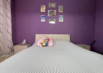 Independent house Monteu Roero - photo 15