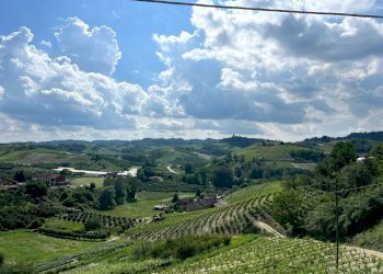 Independent house Monteu Roero - photo 26