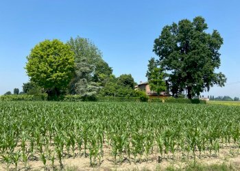 Single Family Villa Modena - photo 4