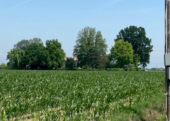 Single Family Villa Modena - photo 12