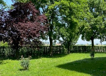 Single Family Villa Modena - photo 14