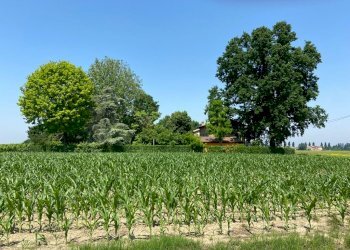 Single Family Villa Modena - photo 15