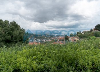 DSC09239.jpg - Villa Trifamiliare Via Genova, La Spezia - foto 1