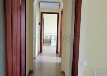 WhatsApp Image 2023-06-21 at 16.32.38 (2).jpeg - Terreno non edificabile Via Montello, Cremona - foto 5