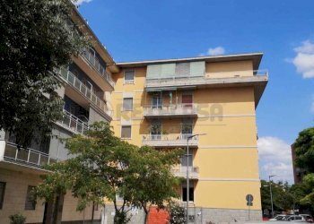 40ca38db-71c6-40e9-9c7e-e76ff5522fab.jpg - Terreno non edificabile Via Montello, Cremona - foto 7