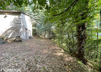 Esterno - Rustico via Maestra, Rorà - foto 6