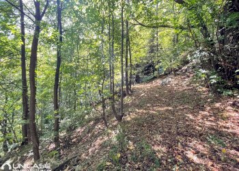 Terreno - Rustico via Maestra, Rorà - foto 4