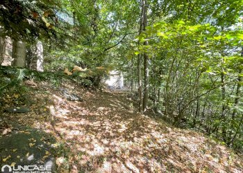 Esterno - Rustico via Maestra, Rorà - foto 7