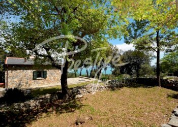 Giardino - Villa via Boschetti Croce, Portovenere - foto 18