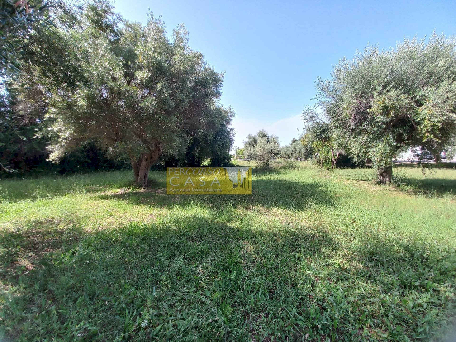 Terreno edificabile VIA GALILEO GALILEI, Giulianova - foto 2