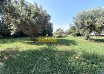 Terreno edificabile VIA GALILEO GALILEI, Giulianova - foto 2