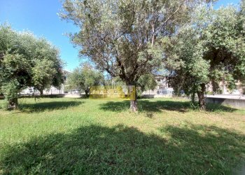 Terreno edificabile VIA GALILEO GALILEI, Giulianova - foto 6