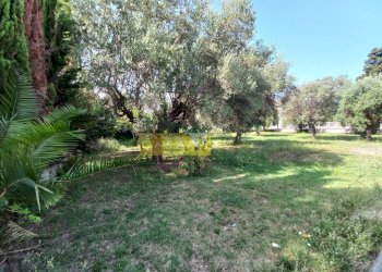 Terreno edificabile VIA GALILEO GALILEI, Giulianova - foto 11