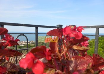 Terreno edificabile VIA AMODEO, Roseto degli Abruzzi - foto 8