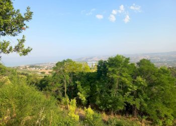 Terreno edificabile VIA AMODEO, Roseto degli Abruzzi - foto 13