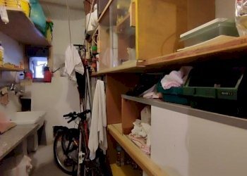 1149324-4x16u7.jpg - Terratetto - Terracielo Strada Statale 1 61, Luni - foto 5