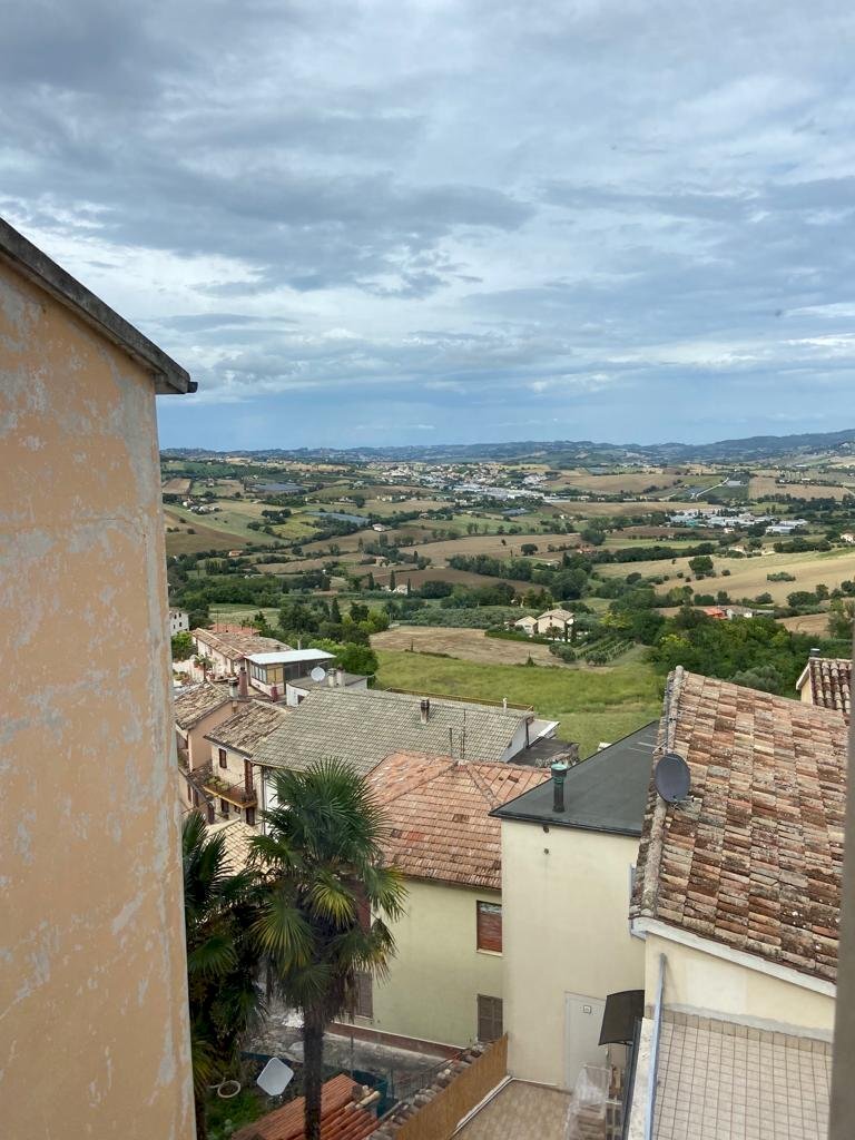 limoni1.jpg - Appartamento via roncisvalle, Osimo - foto 1