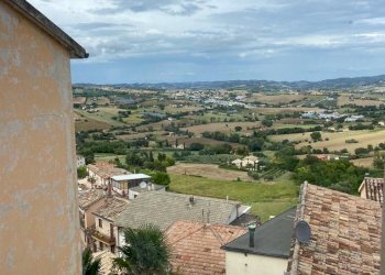 limoni1.jpg - Appartamento via roncisvalle, Osimo - foto 1