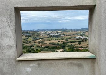 limoni8.jpg - Appartamento via roncisvalle, Osimo - foto 10