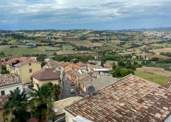 limoni10.jpg - Appartamento via roncisvalle, Osimo - foto 11