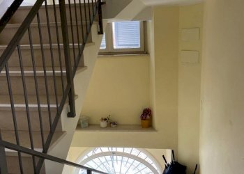 limoni14.jpg - Appartamento via roncisvalle, Osimo - foto 14