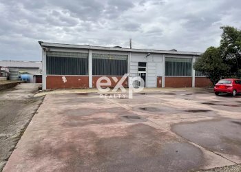 Capannone Via di Castel Romano, Roma - foto 1