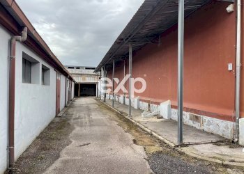 Capannone Via di Castel Romano, Roma - foto 9