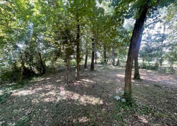 Rustic Modena - photo 10